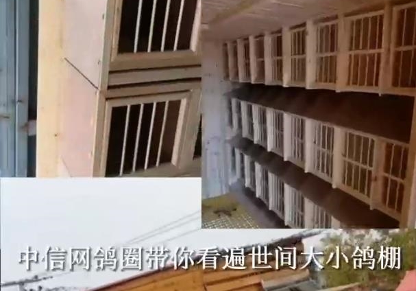 �뿴����Ǿ�һ���Կ����