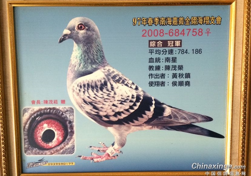 ���һ��Ѫ ��Ѫ������