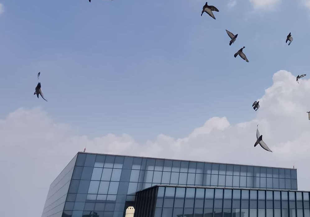 ���Ӵ��ⰲ�����꣺������һ���Ǻ��ˡ�