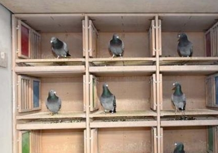 һ��25����ʷ�ĸ���