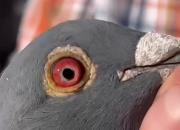 ����³�������ھ� Ҳ��KBDB�����ھ�