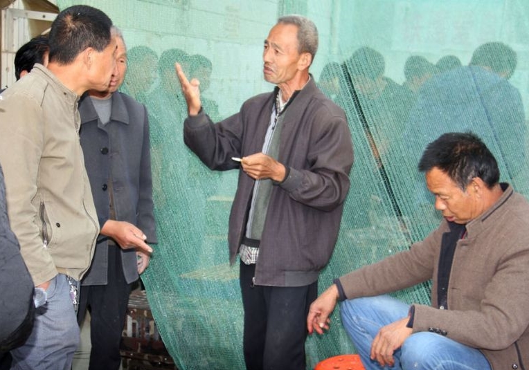 养鸽交流求同存异 把争议当动力