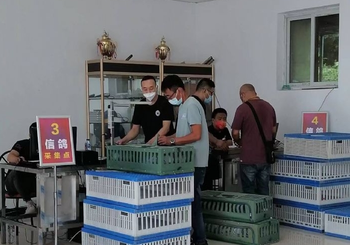 �������ˡ����ޱ����ܼ쳬ǧ��ʧ��