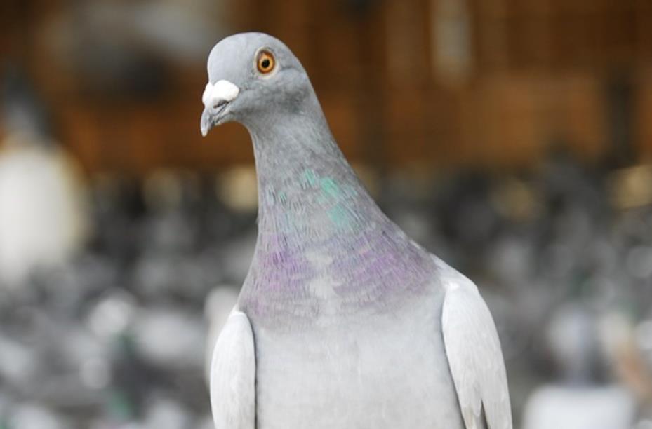 �����˻�������룿