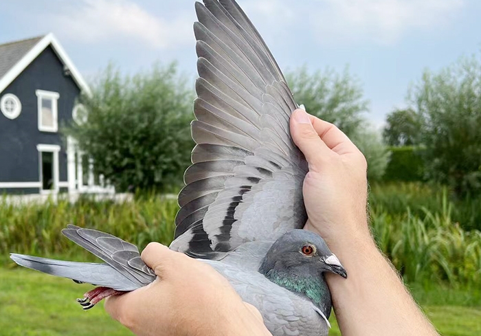 17711���׸��� ��ƿ������ۺϹھ���