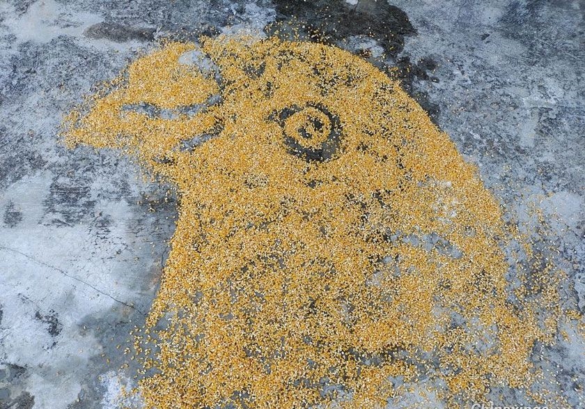 ���������ϳɱ���