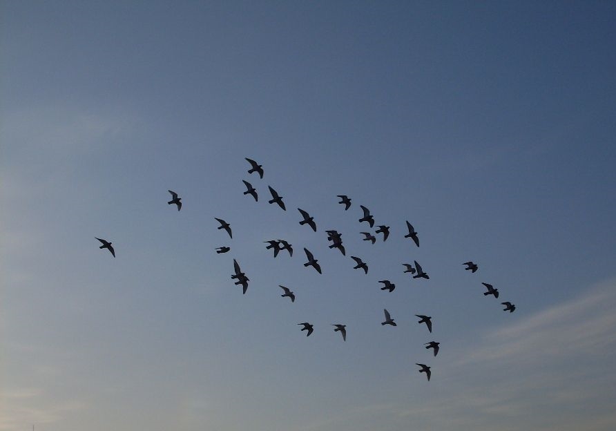 ������ƴ���� �̾���ƴ������