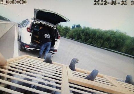 ����Я��������Ӹ��ٷŷ� ���������