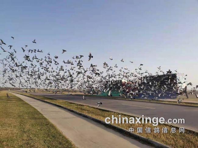 ����ϲѶ�����������ո����ǰ�