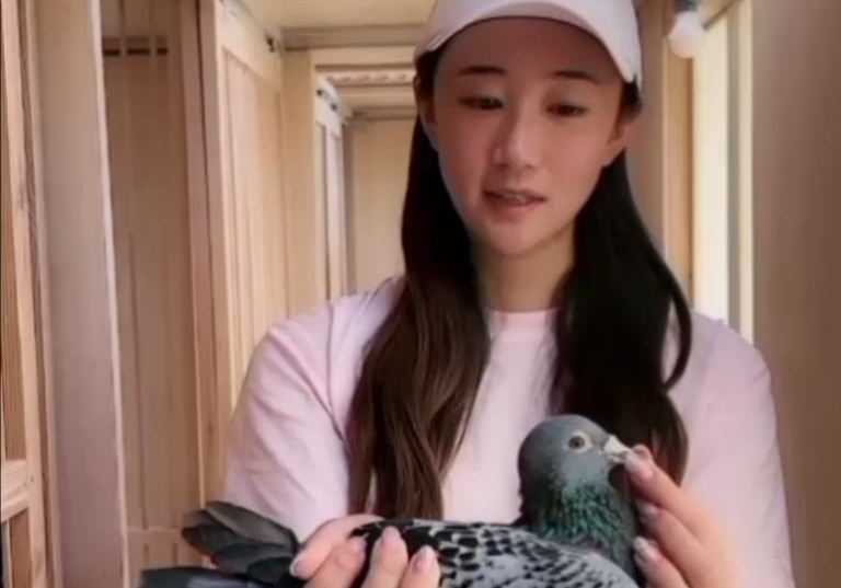 �������ˡ������ࡱ