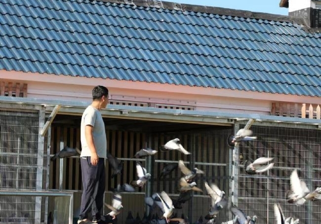 �ܷ�������һ�����ҵ�����ս�Է���