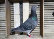 ����ǰ��� �ǱȺ���˭�ܷɣ�