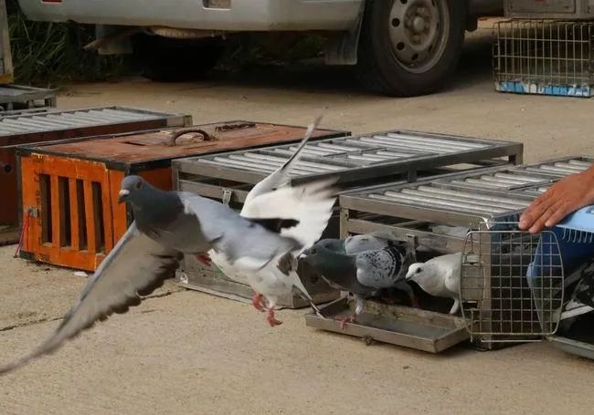 ����ѵ�� ������������