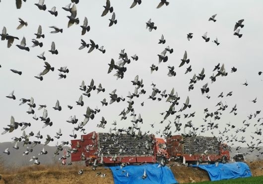 ָ������ԣ����˽���Ϊ���Ӯ�ң�