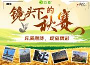 �������� ��ͷ�µ��������⾫��