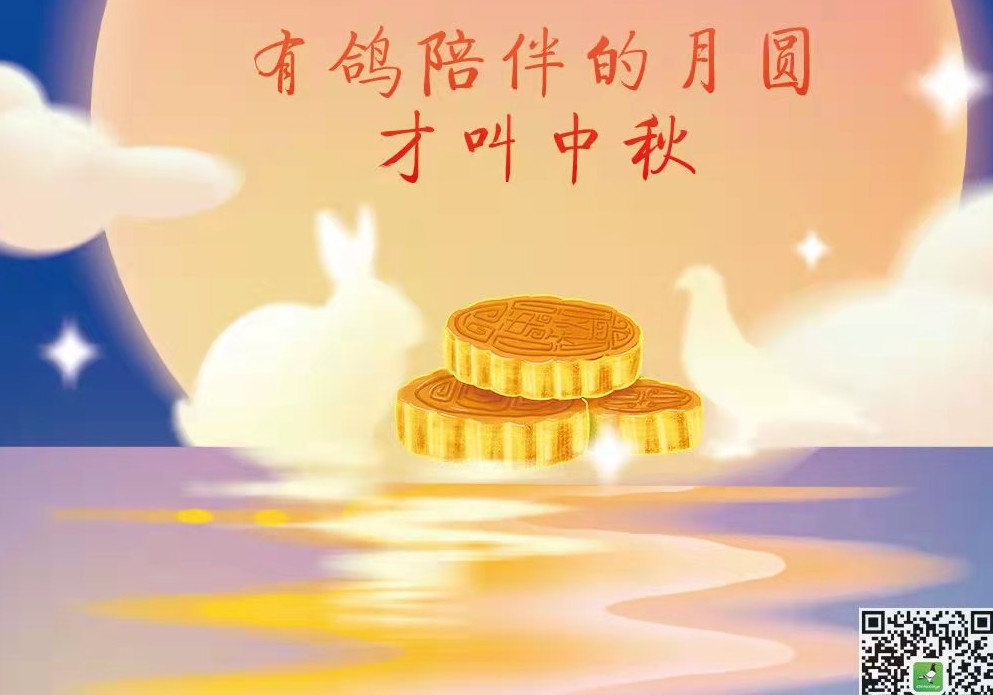 ף����������ڿ��֣�