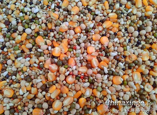 �̷��� Զ��֬����