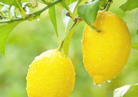 �����ڸ��������е�����