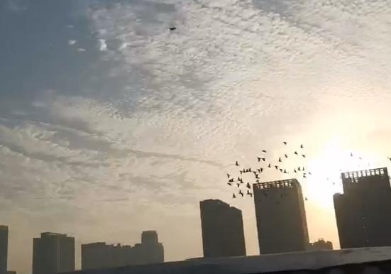 �ҵĻ���ȫ��¼����������ո�һ��