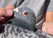 KBDB�о����׸�������ھ�