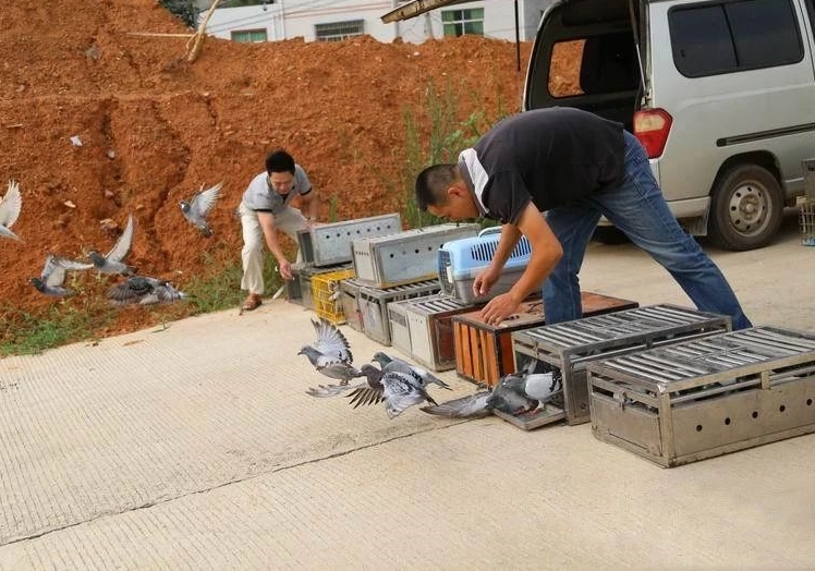 ���·ѵ�ƻ�