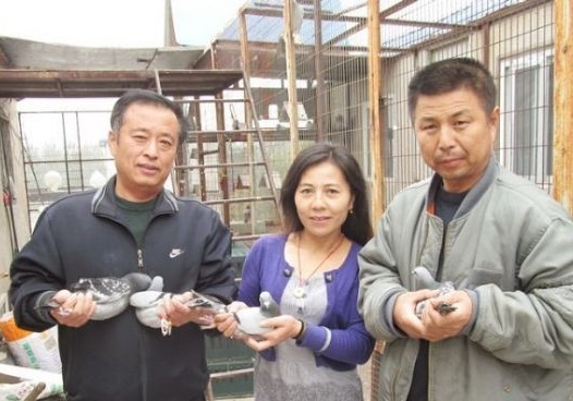 ��η���� ְҵ����������ģ������