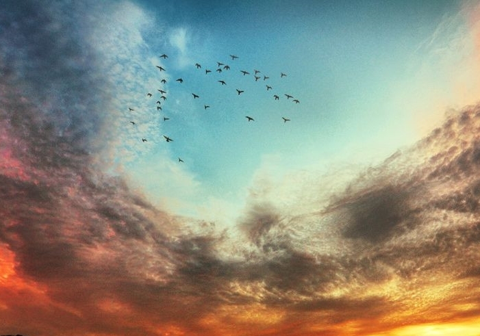 �����̫�ں�����