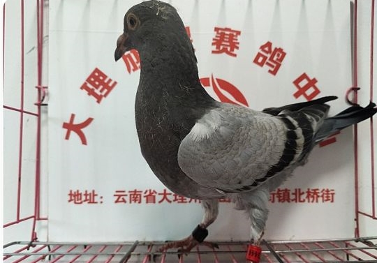 ���������ô�� �ܷ���