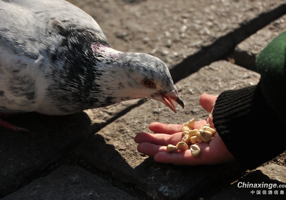 �����ر��׻�ʼĩ�������ܽ�����