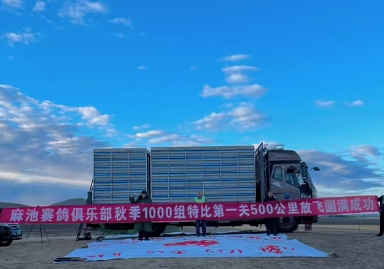 ���ɹ����500�����׹ص��չ鲻������