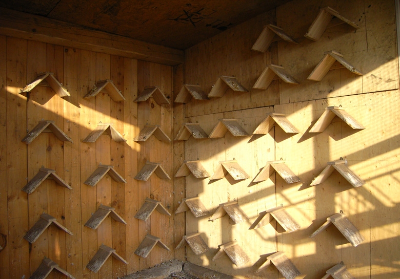 ����Ӱ��ɼ���