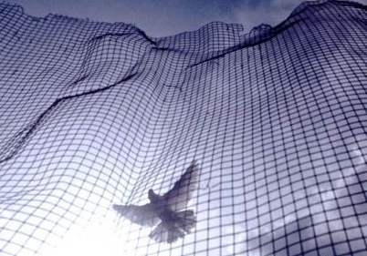 �����ʱ�ݣ�