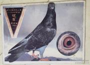 հ��һ�������͵Ĺھ������