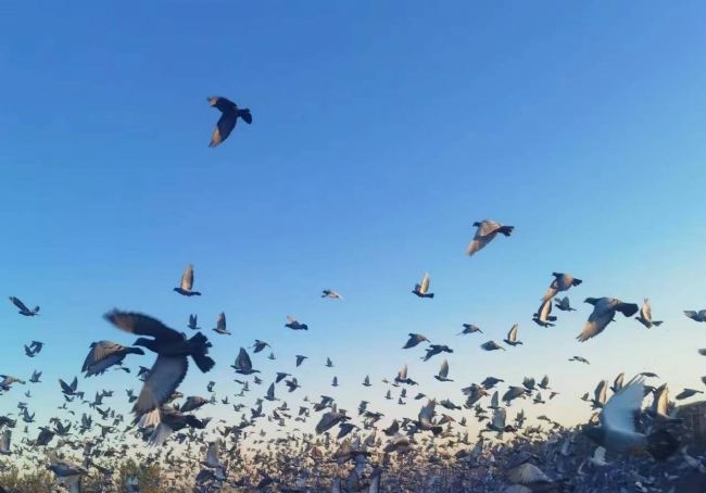 �鲻�鿴�ִ� �첻�������ۣ�