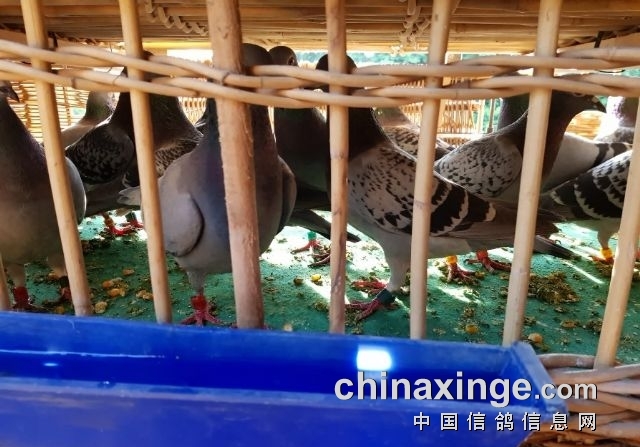 �����￪���Ľ���