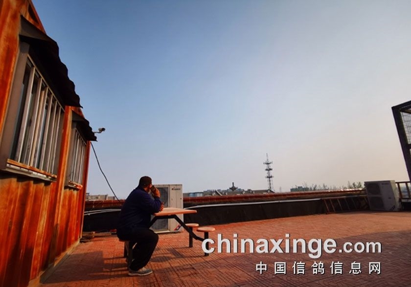 Ц��������ʼ�����ʷ������ ����ο����