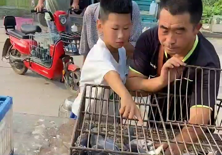 С�������ŰѸ��� �����������