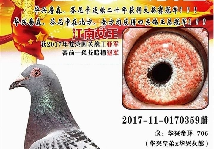 Ѫͳ������ �����Ӵ�ֱ������