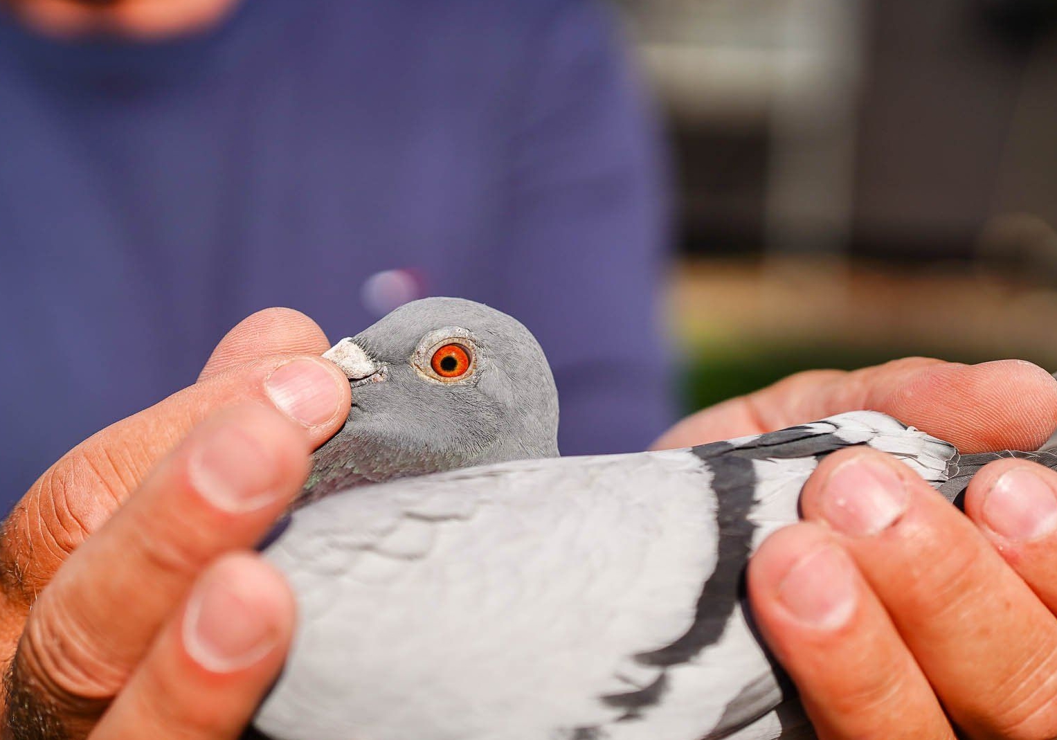 ���ø��Ӿ��ܳ��ɼ���