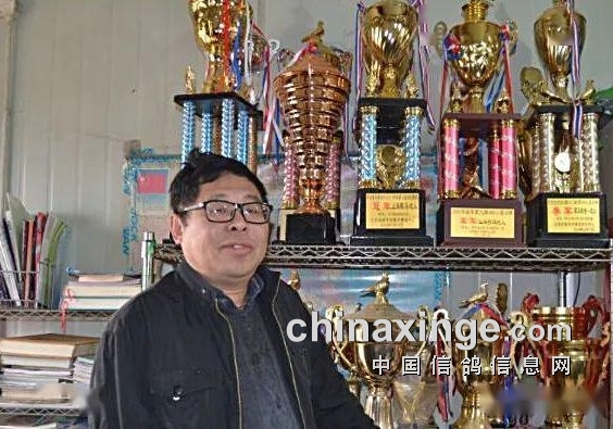 ��̳�彫�����Ϻ���������