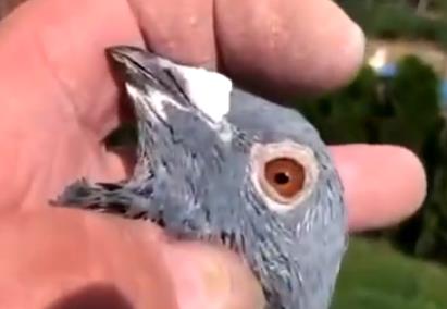 ��λ񽱵ġ������š�