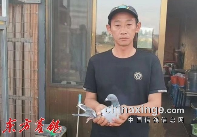 �Ϻ���ͬ��ΰ�� �״�����ɺ��� �Ĺ��ۺϸ����