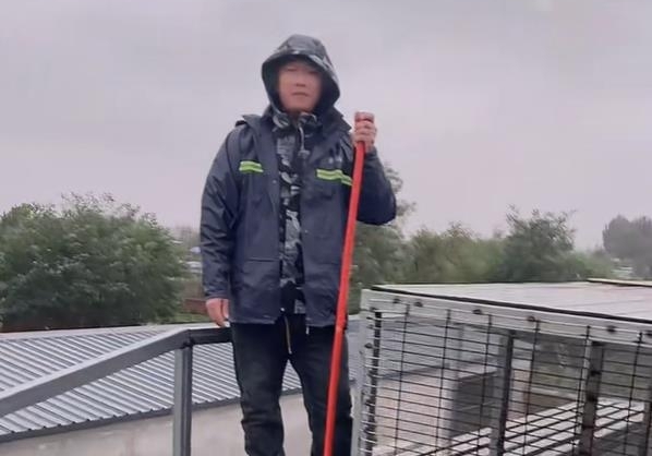 ��ĩ��Ҹ��͹鳲 �Ⲩ���������������