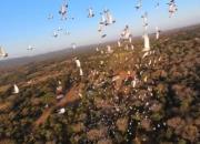 ���⹫��ѵ�ź�������鳲����