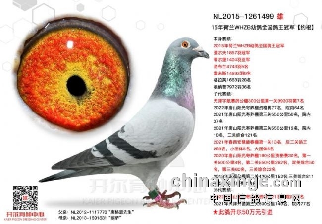 �����������ô����