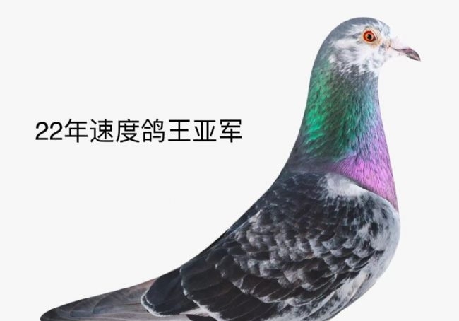 KDBDȫ���ٶȸ���ǰ��λ�����ַ�����