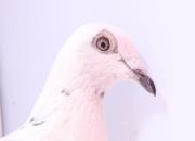 ���ļ��������д ������ô����