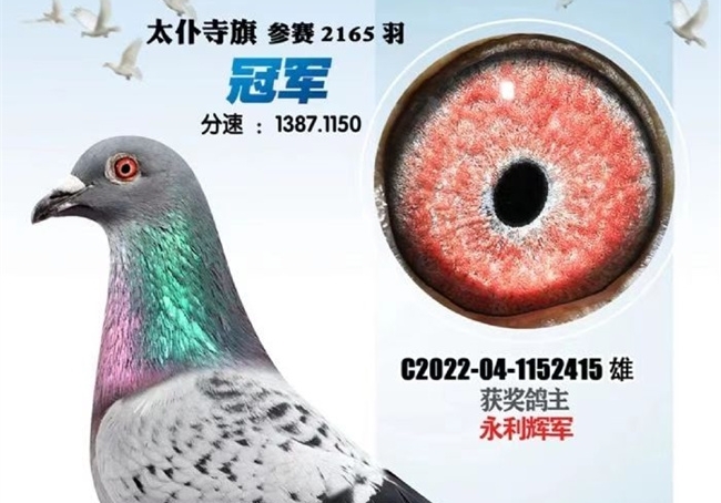 �������������� �ݱ����ϣ�