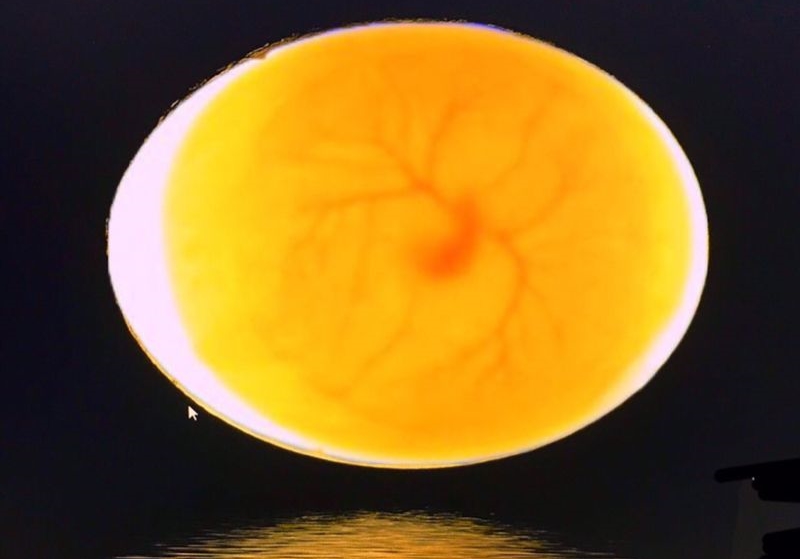 ����Ҳ��ƻ�������