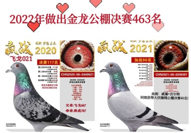 ��վ��� ��ý����������463��